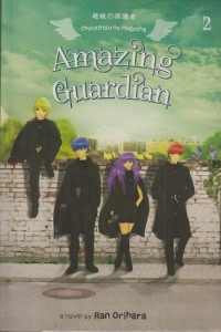 Image of Amazing guardian 2