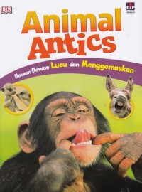 Image of Animal Antics (Hewan - hewan lucu dan menggemaskan)