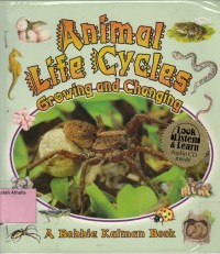 Image of Animal life cycles: growing and changing