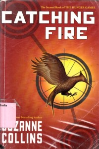 Image of Catching fire