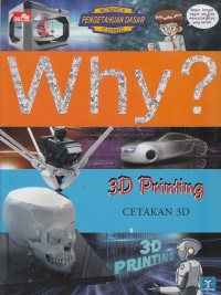Image of Why? Cetakan 3D