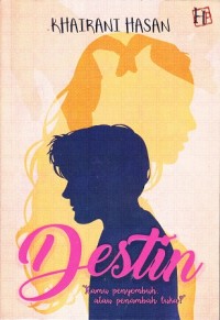 Image of Destin