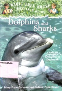 Image of Dolphins and Sharks