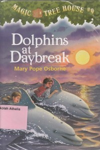 Image of Dolphins at Daybreak