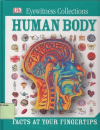 Image of Human Body: Facts at Your Fingertips
