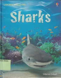 Image of Sharks