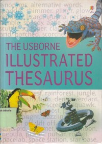Image of The Usborne Illustrated Thesaurus