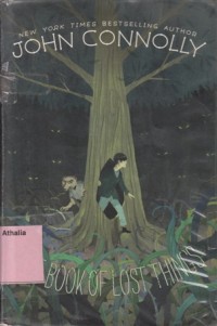 Image of The book lost things