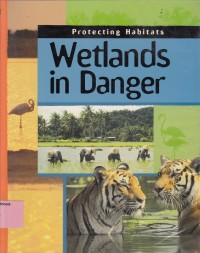Image of Wetlands in danger
