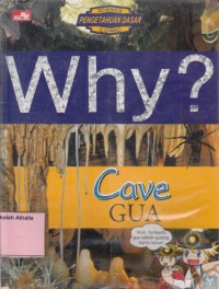 Image of Why? Gua