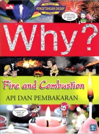 Image of Why ? Api dan pembakaran
