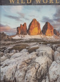 Image of Wild World