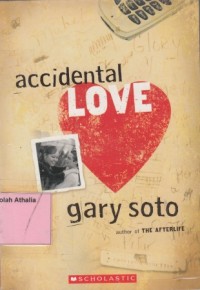 Image of Accidental Love