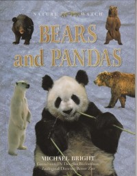 Image of Bears and Pandas