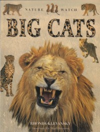 Image of Big Cats