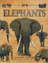 Image of Elephants