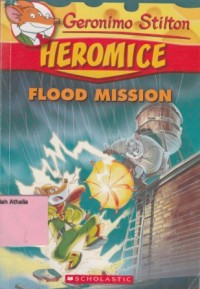Image of Flood Mission