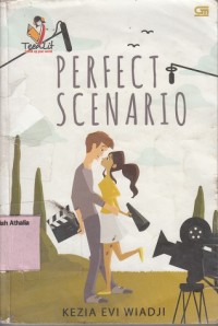 Image of Perfect Scenario