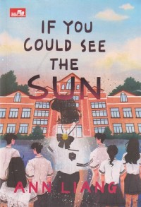 Image of If You Could See the Sun