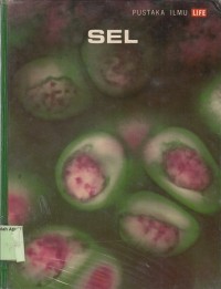 Image of Sel