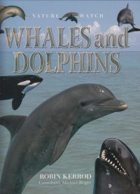 Image of Whales and Dolphins