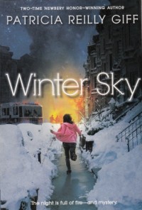 Image of Winter Sky